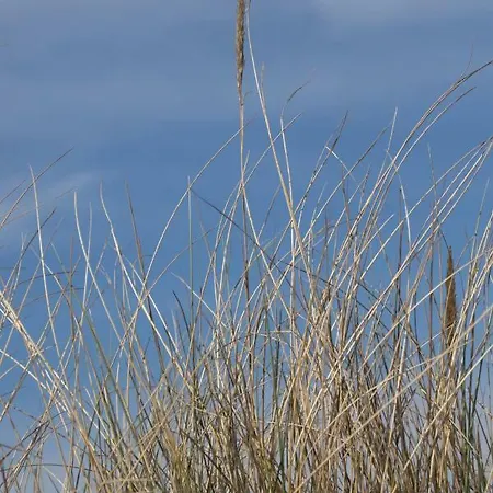 Apartment Zee En Duinzicht 84 Katwijk aan Zee